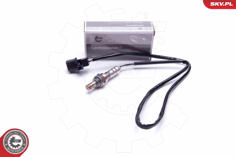 Oxygen Sensor